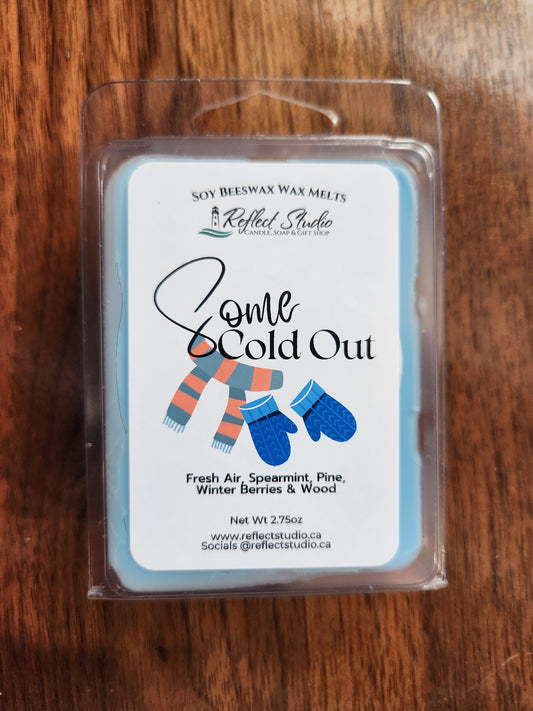 Some Cold Out | Wax Melts